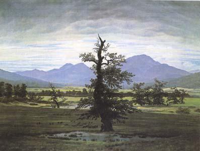 Caspar David Friedrich The Lone Tree (mk09`) oil painting image